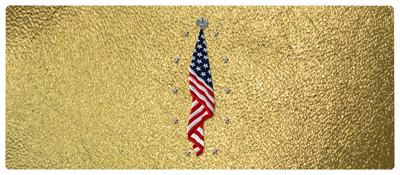 DNSEMP-L-421-SH-GD Flag at Rest Shimmer Gold